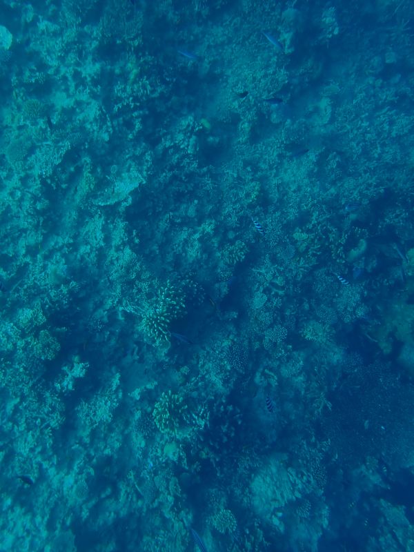 Viewing photos→2018→2018-09-12→005