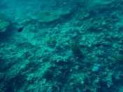 006.jpeg - 2018:09:11 20:52:46