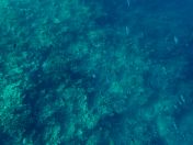 007.jpeg - 2018:09:11 20:52:50