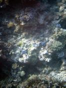 008.jpeg - 2018:09:11 20:53:40