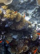 009.jpeg - 2018:09:11 20:54:09