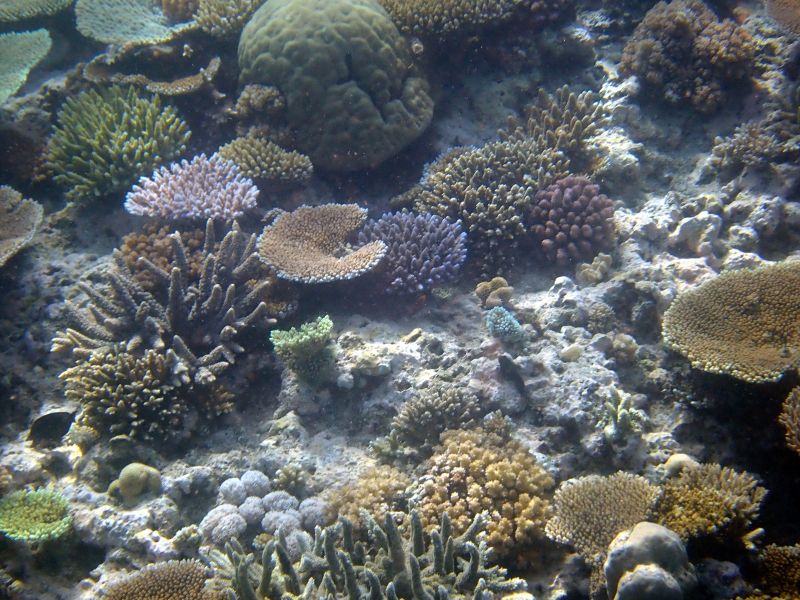 Viewing photos→2018→2018-09-12→010