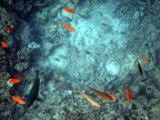 011.jpeg - 2018:09:11 20:56:29