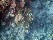 012.jpeg - 2018:09:11 20:57:13