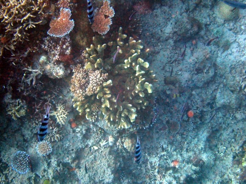 Viewing photos→2018→2018-09-12→012