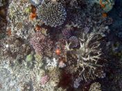 013.jpeg - 2018:09:11 20:57:28