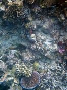 014.jpeg - 2018:09:11 20:57:39