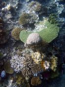 015.jpeg - 2018:09:11 20:57:50