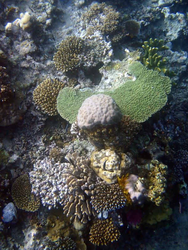 Viewing photos→2018→2018-09-12→015