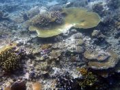 016.jpeg - 2018:09:11 20:58:05