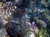 017.jpeg - 2018:09:11 20:58:13