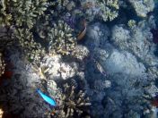 018.jpeg - 2018:09:11 20:58:16