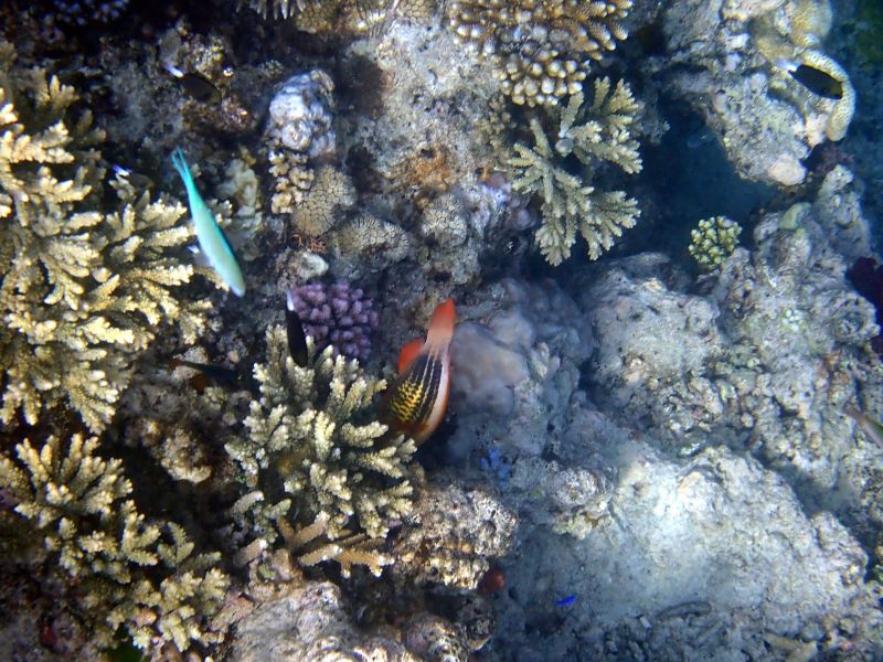 Viewing photos→2018→2018-09-12→019