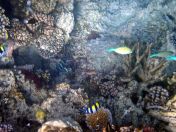 020.jpeg - 2018:09:11 20:58:21