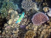 021.jpeg - 2018:09:11 20:58:43