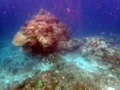 022.jpeg - 2018:09:11 20:58:58