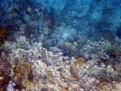 023.jpeg - 2018:09:11 20:59:31