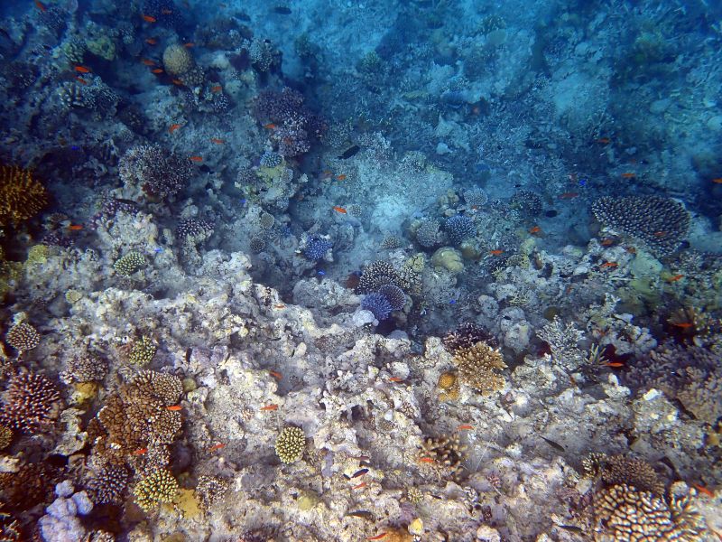 Viewing photos→2018→2018-09-12→023