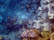 024.jpeg - 2018:09:11 20:59:48