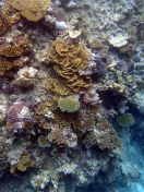 025.jpeg - 2018:09:11 21:00:14