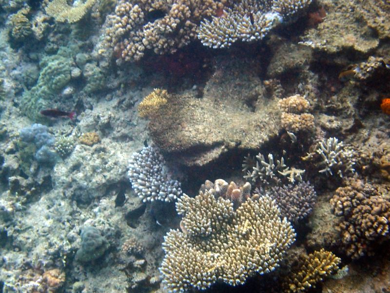 Viewing photos→2018→2018-09-12→026