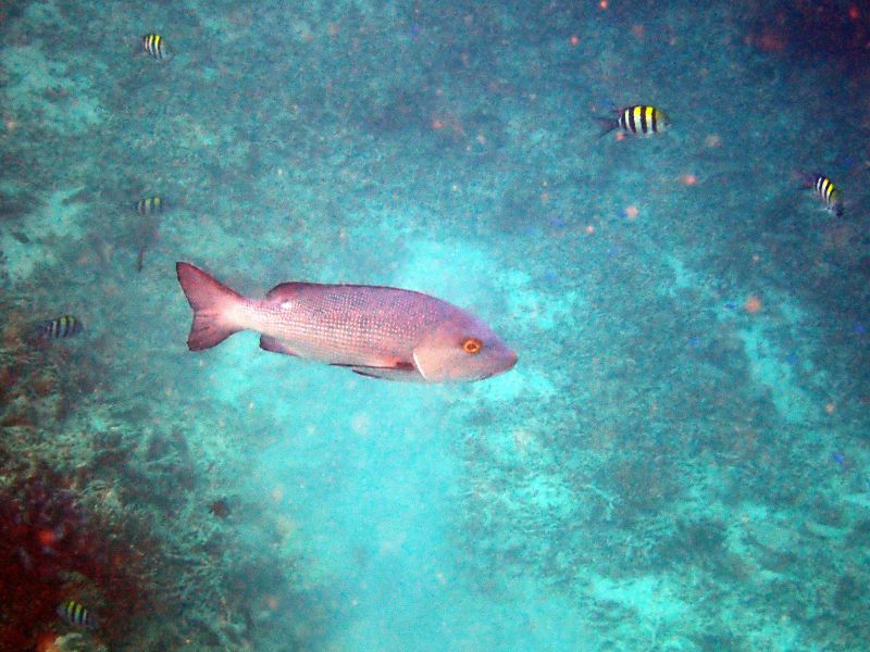 Viewing photos→2018→2018-09-12→027