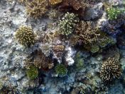 028.jpeg - 2018:09:11 21:01:05