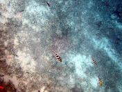 029.jpeg - 2018:09:11 21:01:13