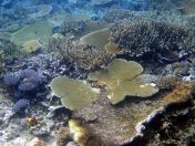 030.jpeg - 2018:09:11 21:01:45