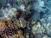 031.jpeg - 2018:09:11 21:01:56