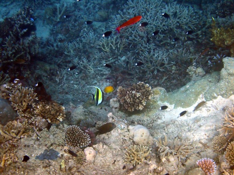 Viewing photos→2018→2018-09-12→032