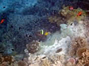 033.jpeg - 2018:09:11 21:02:31