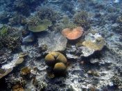 034.jpeg - 2018:09:11 21:03:15