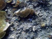 035.jpeg - 2018:09:11 21:03:20