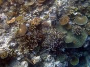 036.jpeg - 2018:09:11 21:03:29