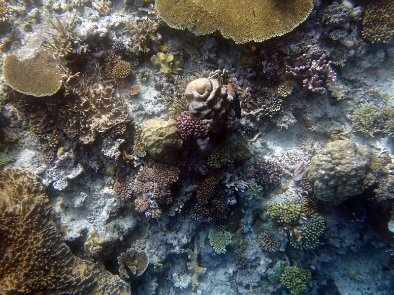 Viewing photos→2018→2018-09-12→037