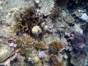 038.jpeg - 2018:09:11 21:04:35