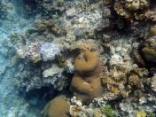 039.jpeg - 2018:09:11 21:05:06