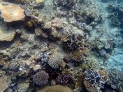 040.jpeg - 2018:09:11 21:06:57