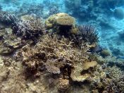 041.jpeg - 2018:09:11 21:07:03