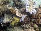 042.jpeg - 2018:09:11 21:07:37