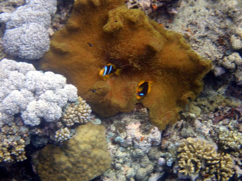 Viewing photos→2018→2018-09-12→043