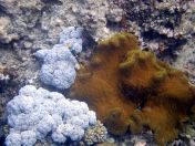 044.jpeg - 2018:09:11 21:08:09