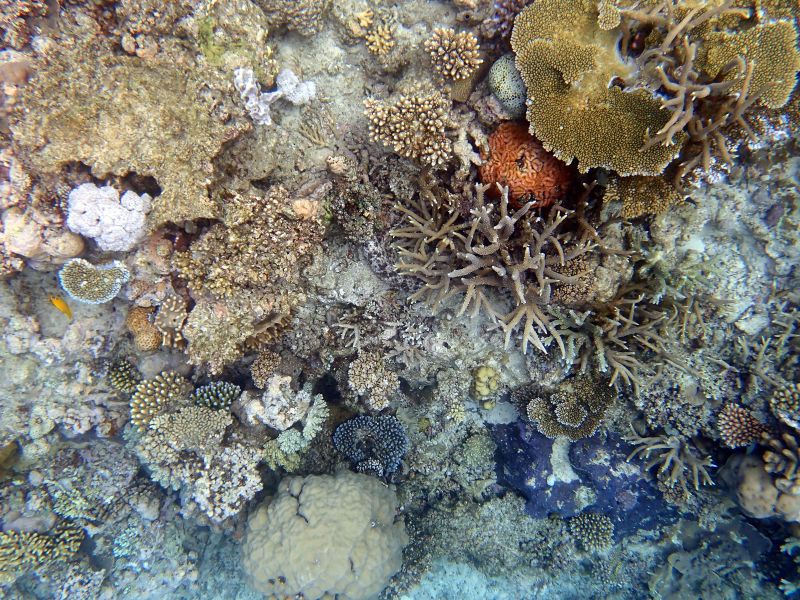 Viewing photos→2018→2018-09-12→045