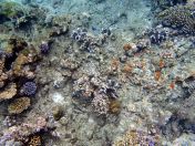 046.jpeg - 2018:09:11 21:08:37