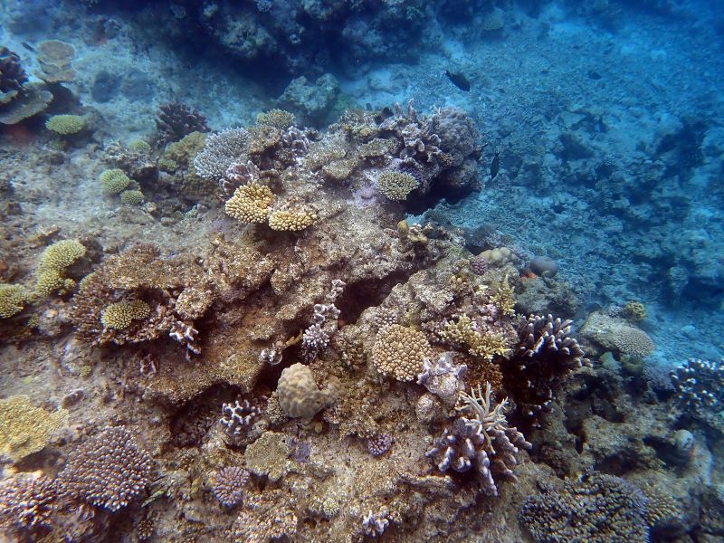 Viewing photos→2018→2018-09-12→047