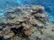 048.jpeg - 2018:09:11 21:09:30