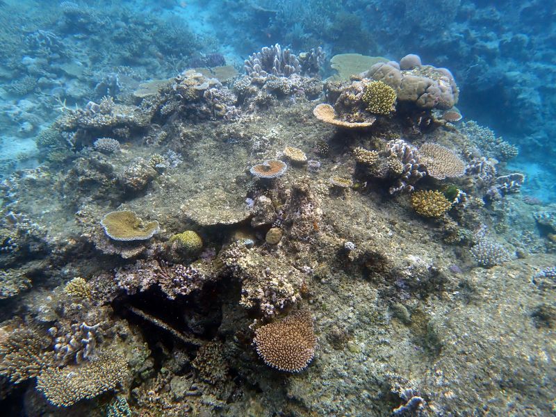 Viewing photos→2018→2018-09-12→048