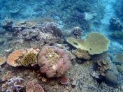 049.jpeg - 2018:09:11 21:09:48