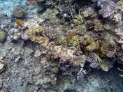 050.jpeg - 2018:09:11 21:12:09